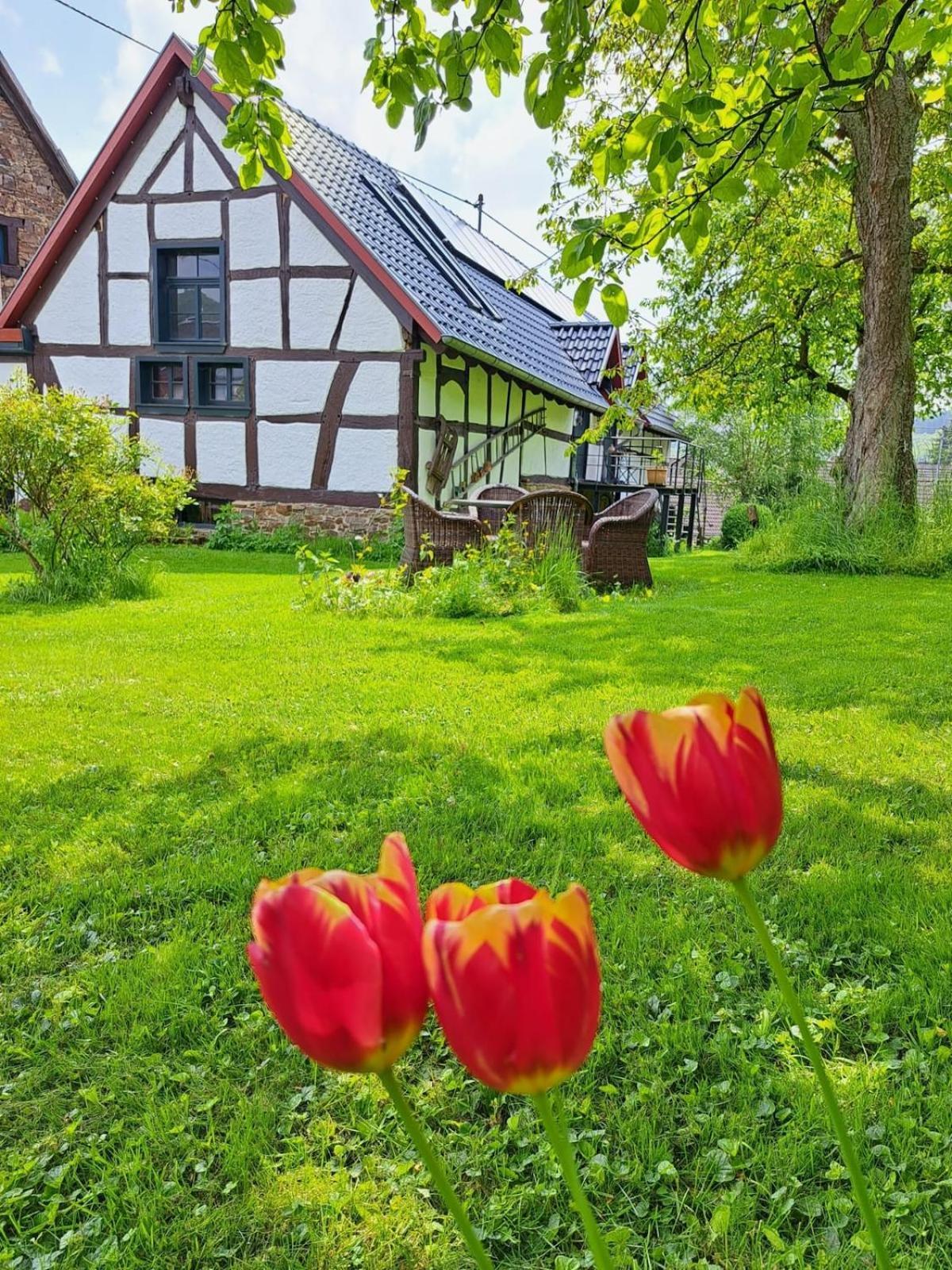 Landhaus Am Aremberg / Eifel Antweiler Exteriér fotografie